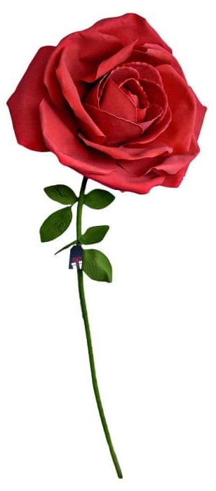 Rosa enorme XXL - Rosas como regalo para una mujer
