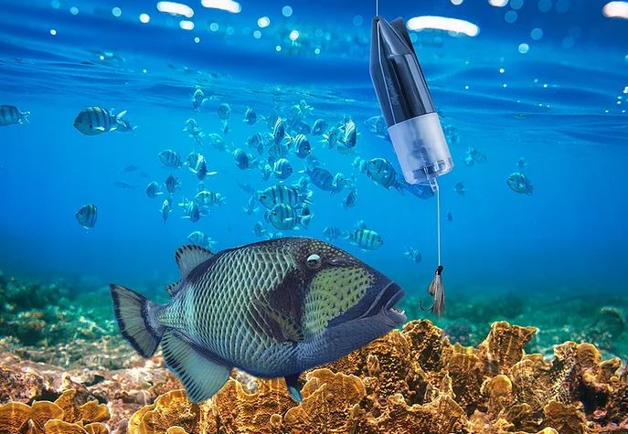 cámara de peces submarina