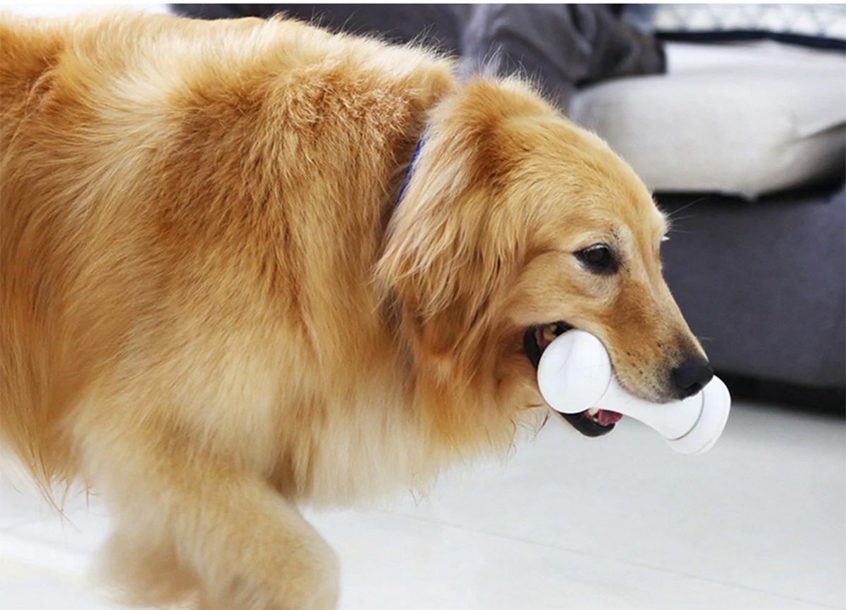 juguete de hueso inteligente para perros hueso malvado
