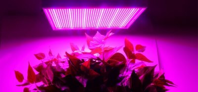 Lámpara LED de cultivo